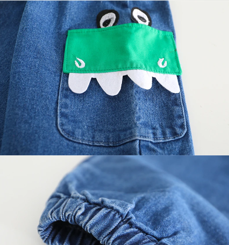 Little Dinosaur Boys Tshirt and Jeans Set