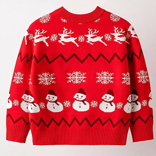 Winter Wonder Boys and Girls Sweater