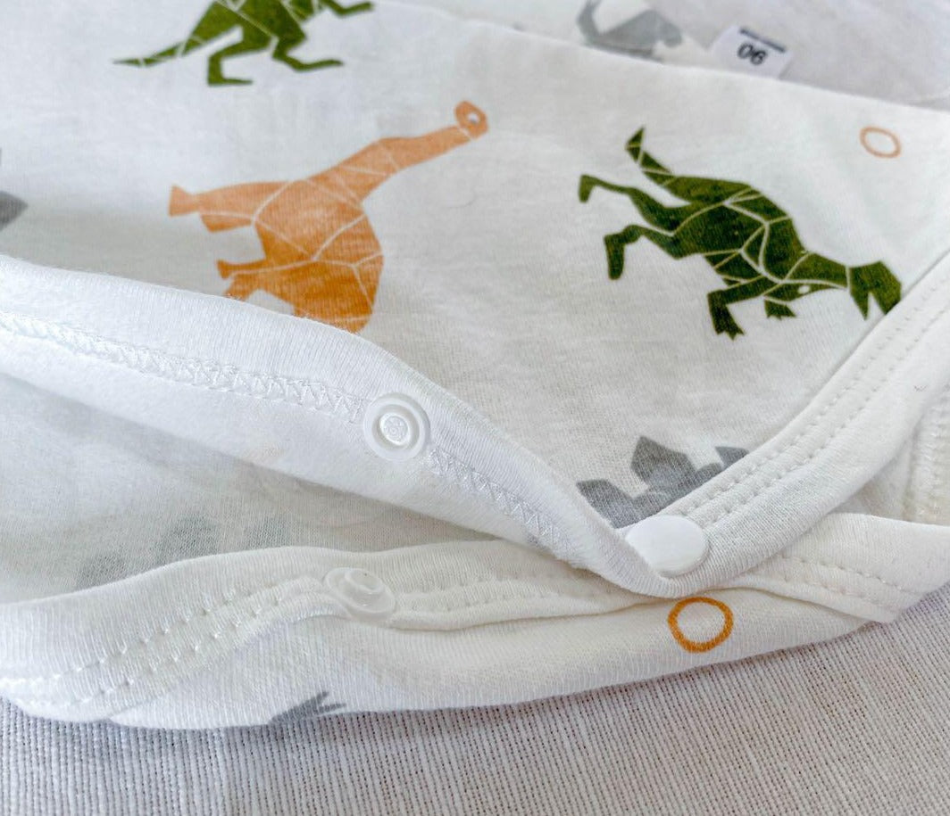 Dino Fun Baby Boy and Girl Romper